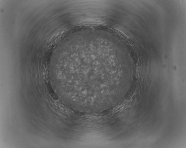 X0000076300917200610161549