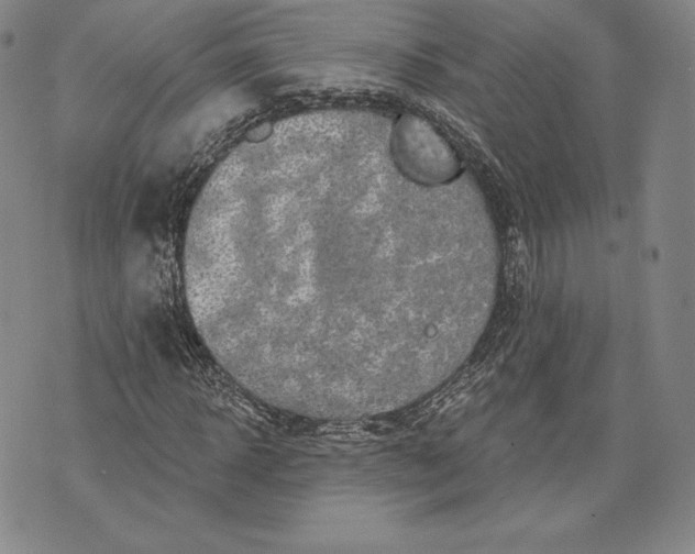 X0000076300918200610161549