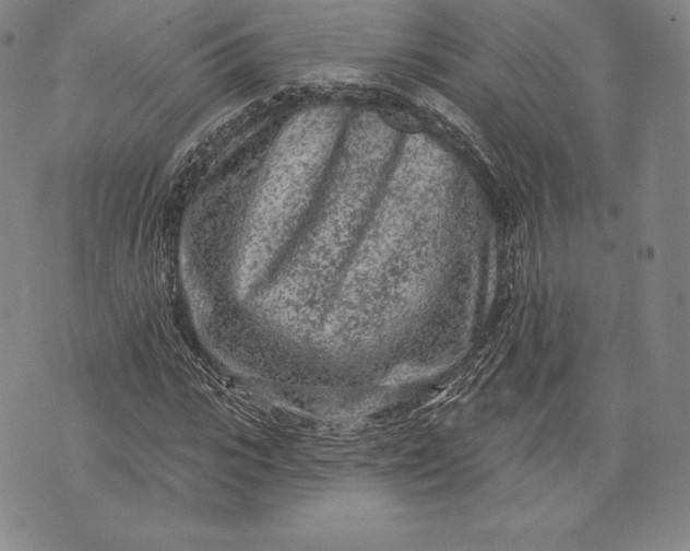 X0000076300919200610161549