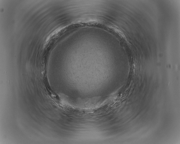 X0000076300920200610161549