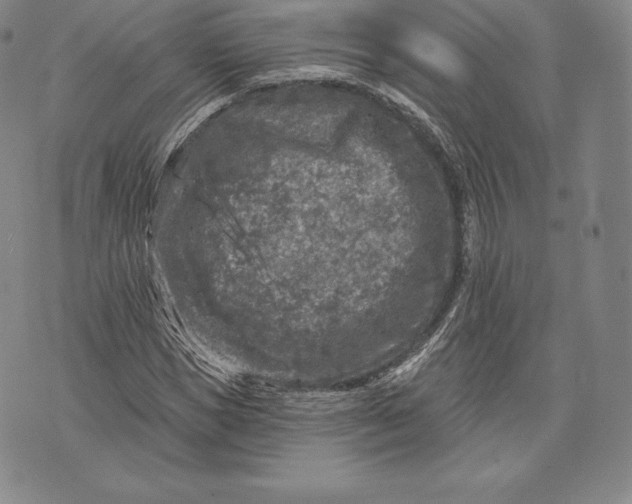 X0000076300921200610161549