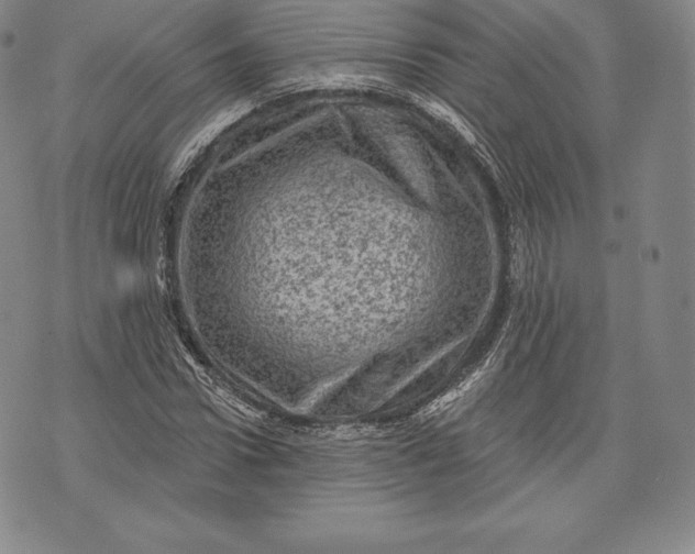 X0000076300922200610161549