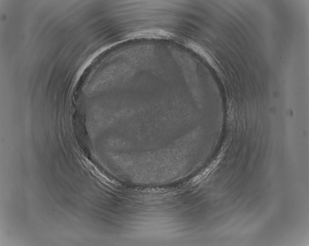 X0000076300923200610161549