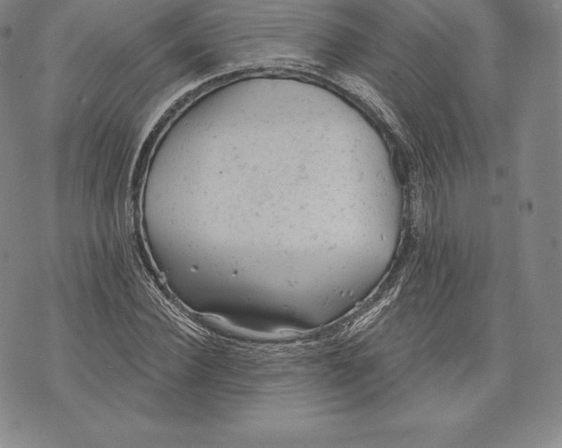 X0000076300924200610161550