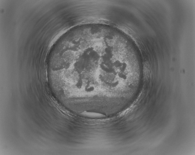 X0000076300925200610161550