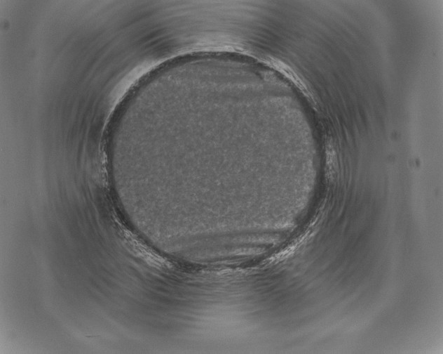 X0000076300926200610161550