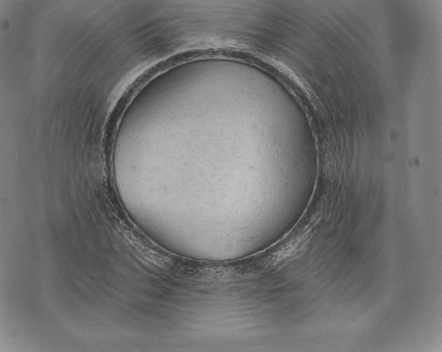 X0000076300927200610161550