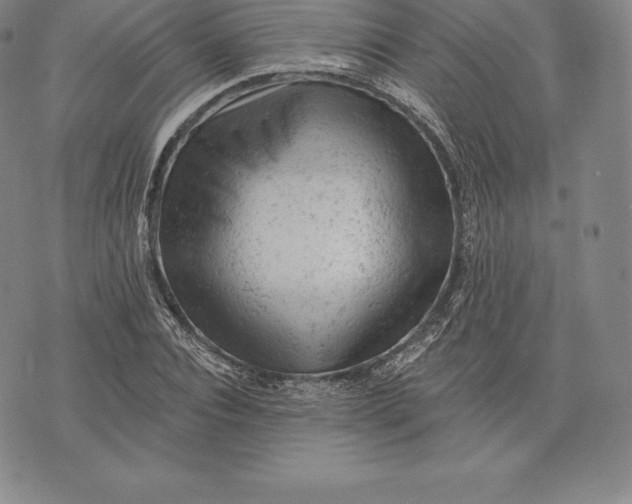 X0000076300928200610161550