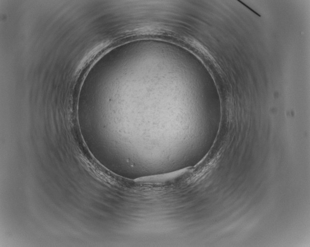 X0000076300930200610161550