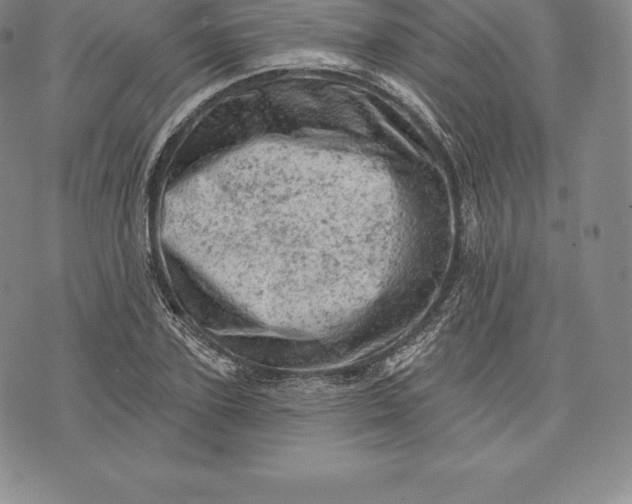 X0000076300931200610161550