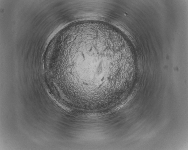 X0000076300933200610161550