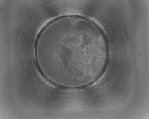 X0000076300934200610161550