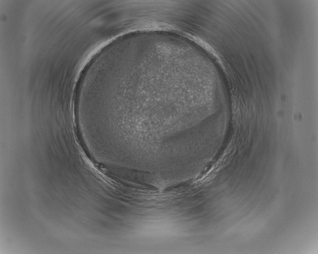 X0000076300935200610161550