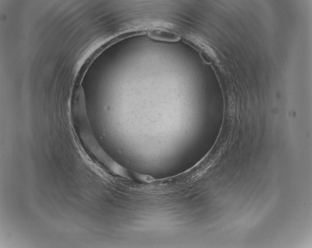 X0000076300936200610161550