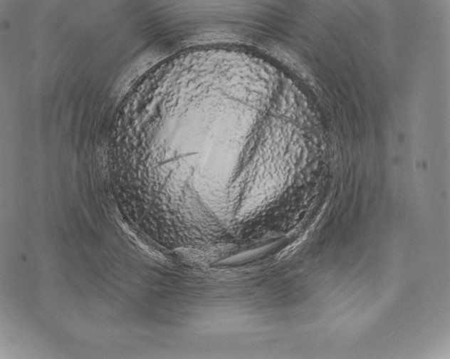 X0000076300937200610161550