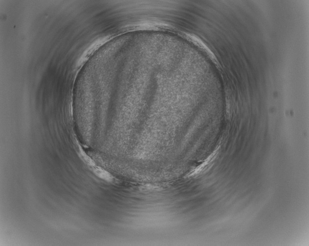 X0000076300938200610161550