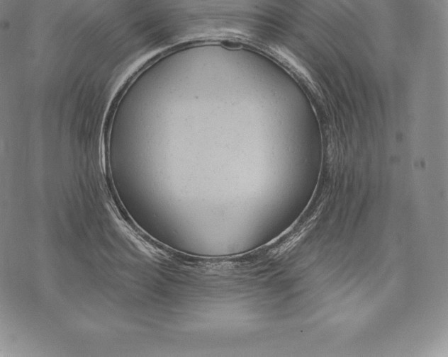 X0000076300940200610161550