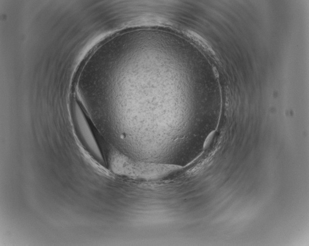 X0000076300942200610161550