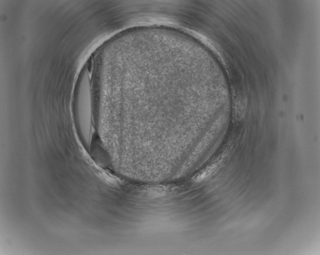 X0000076300943200610161550