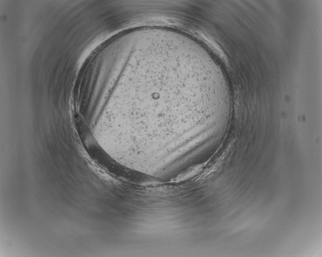 X0000076300944200610161550