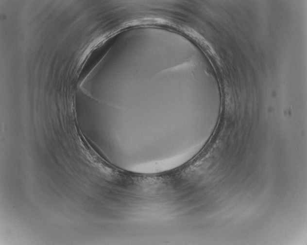 X0000076300945200610161550