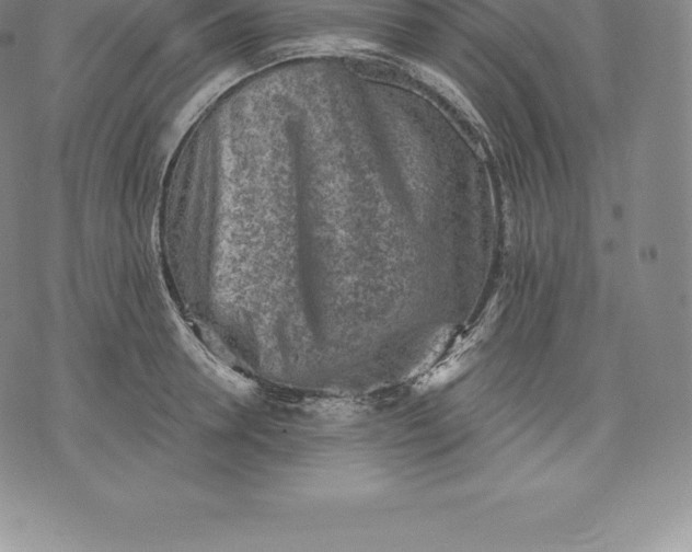 X0000076300946200610161550