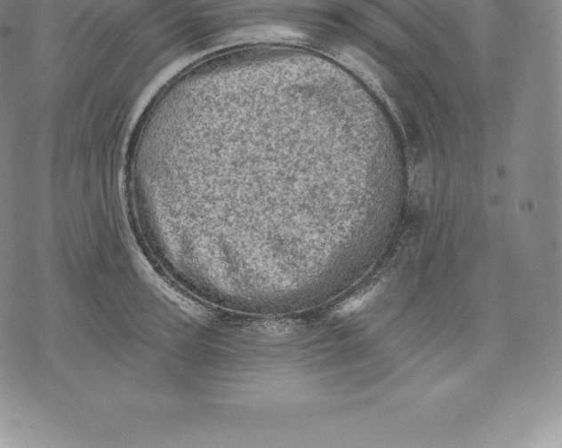 X0000076300947200610161550