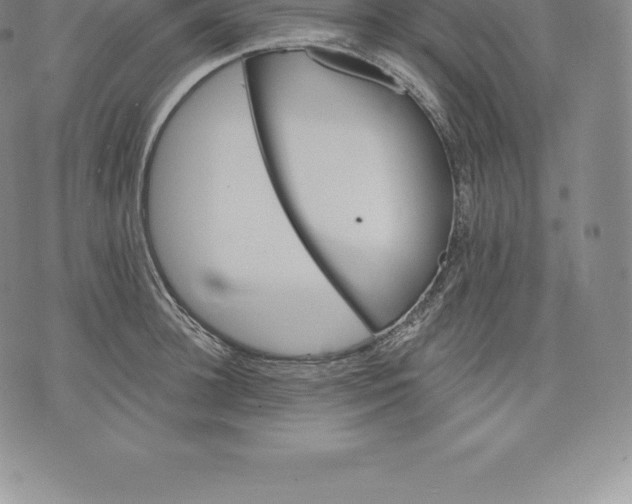 X0000076300948200610161550