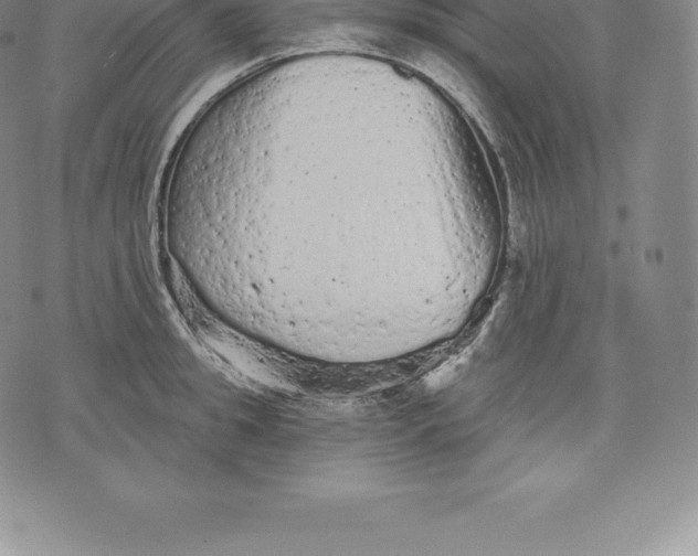 X0000076300949200610161550