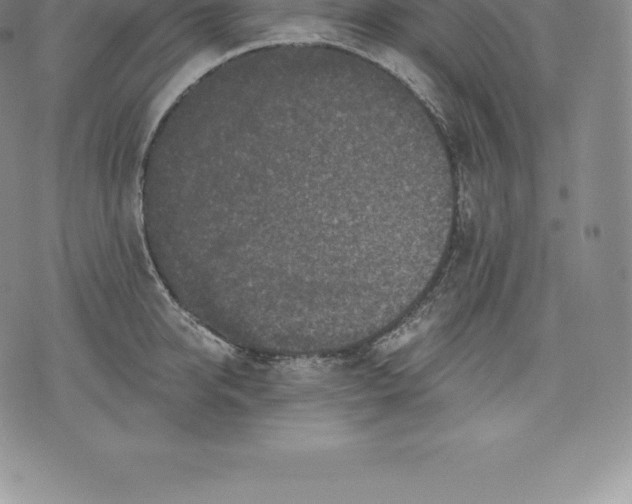 X0000076300950200610161550