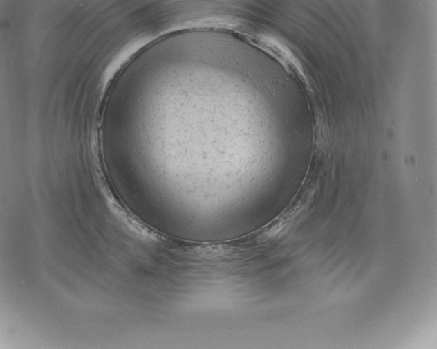 X0000076300952200610161550