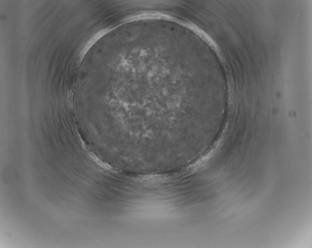 X0000076300953200610161550