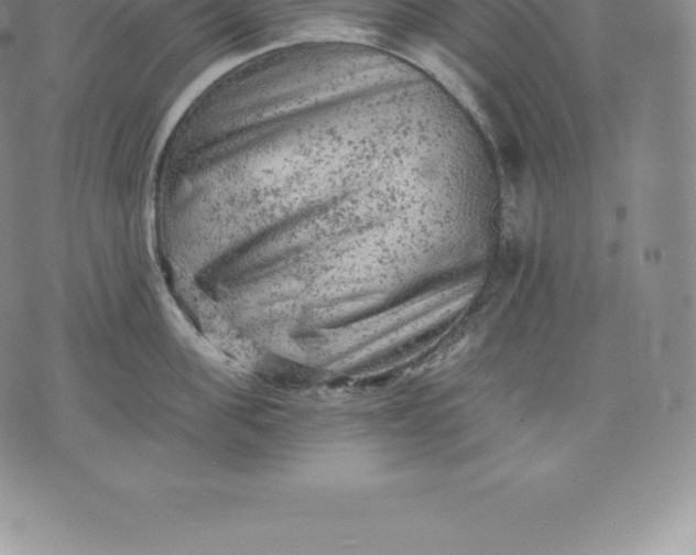 X0000076300955200610161550