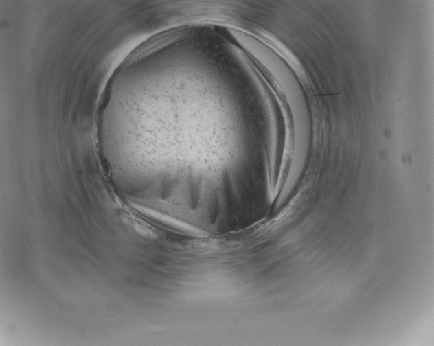 X0000076300956200610161550