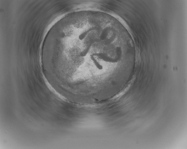 X0000076300957200610161550