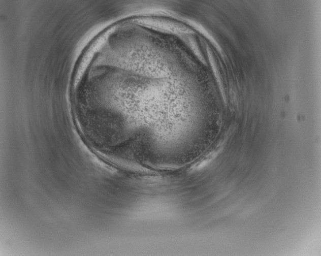 X0000076300959200610161550