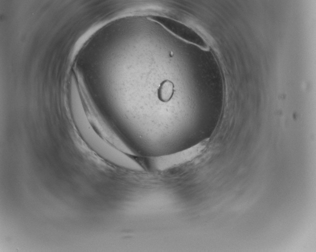 X0000076300960200610161550