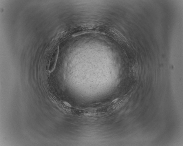 X0000076300961200610161549