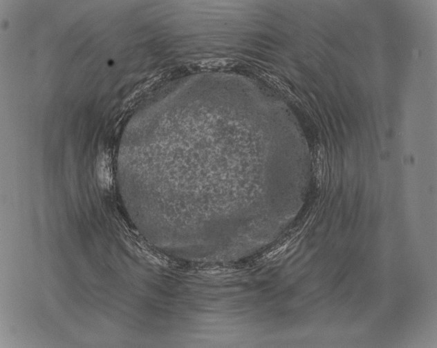 X0000076300962200610161549