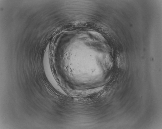 X0000076300963200610161549