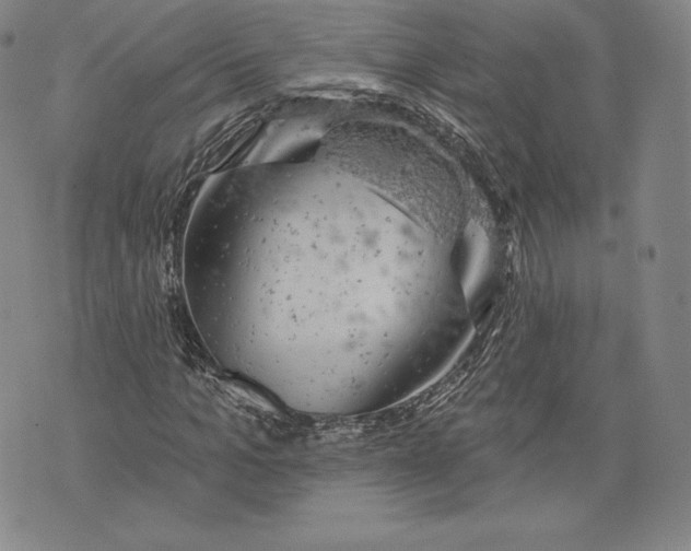 X0000076300965200610161549