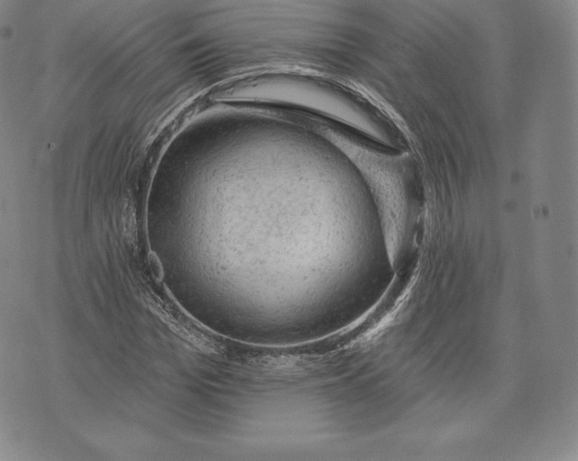 X0000076300969200610161549