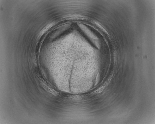 X0000076300970200610161549