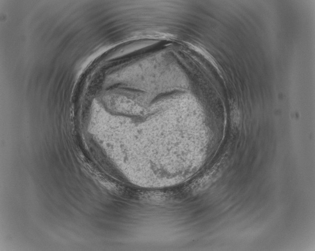 X0000076300971200610161549