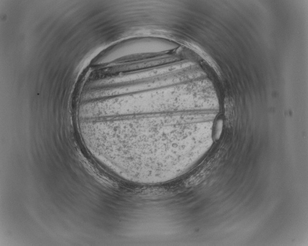 X0000076300972200610161549