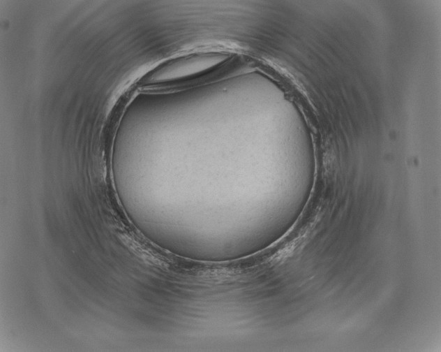 X0000076300973200610161549