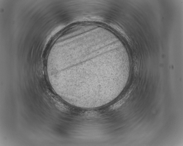 X0000076300974200610161549