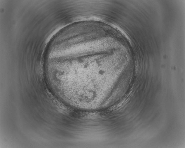 X0000076300975200610161549