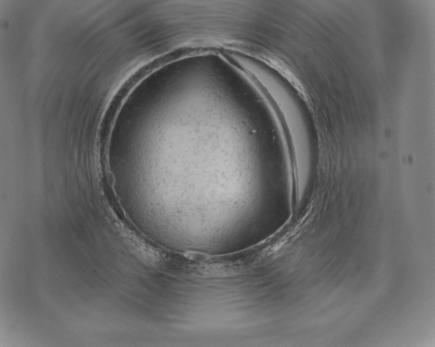 X0000076300976200610161549