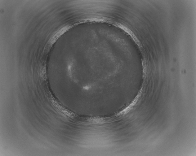 X0000076300977200610161549